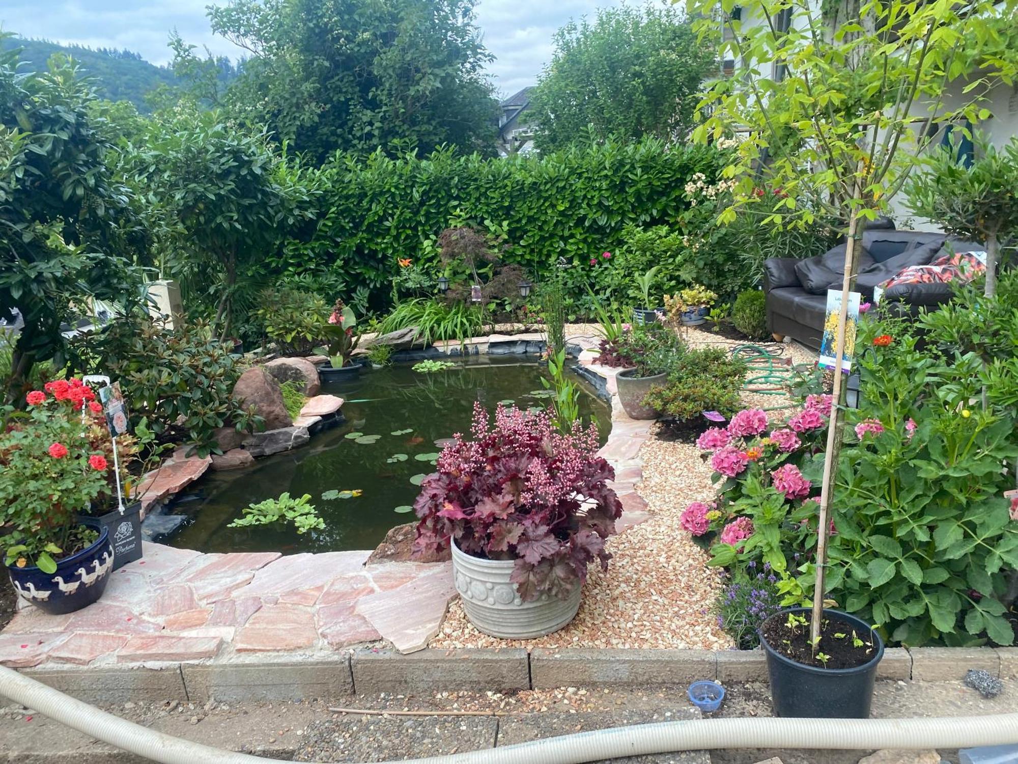 Pension Mit Moselblick Клоттен Экстерьер фото