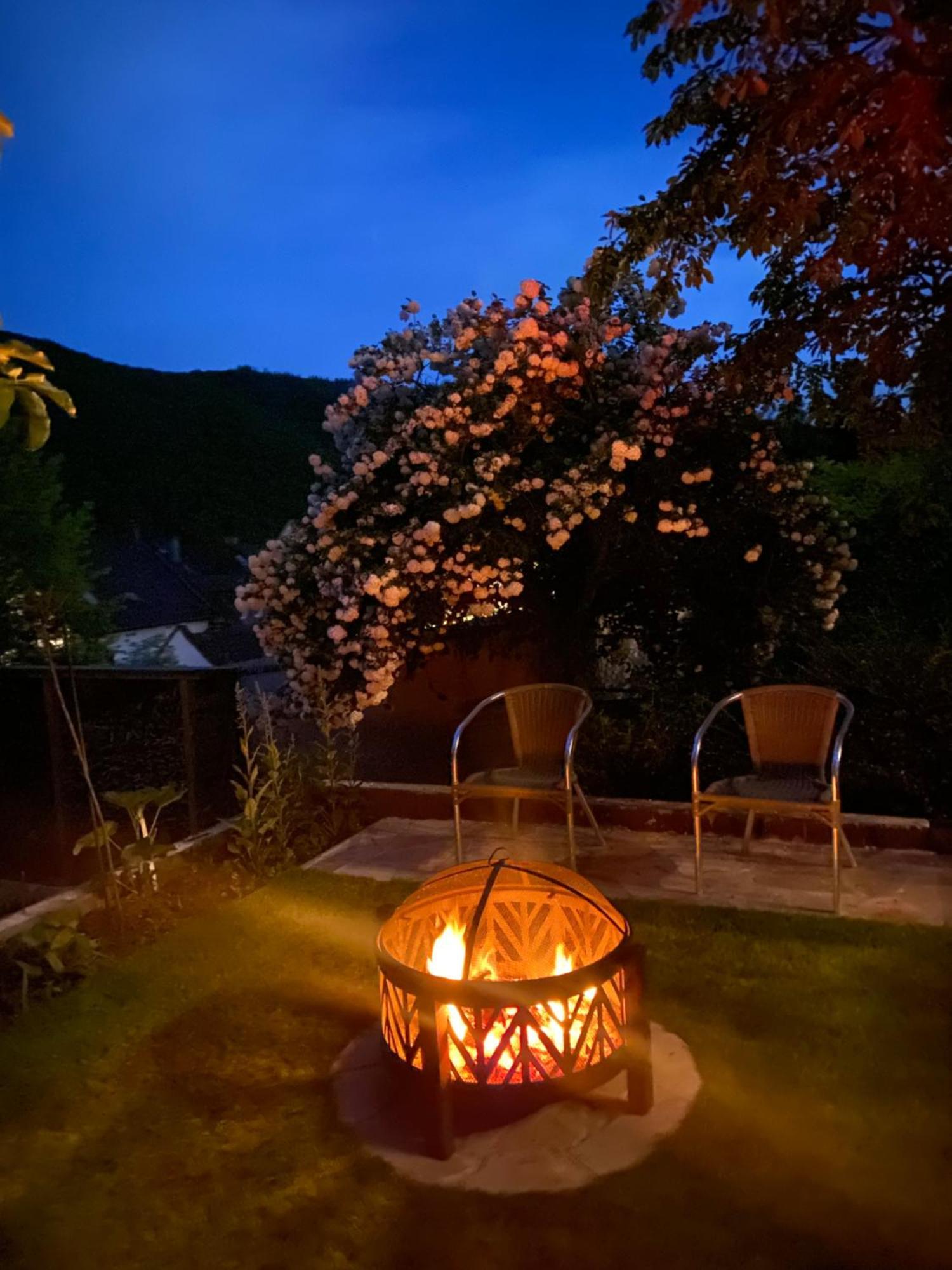 Pension Mit Moselblick Клоттен Экстерьер фото